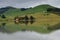 Landscape in Hoopers Inlet.