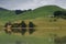 Landscape in Hoopers Inlet.