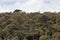 Landscape in Horton Plains National Park, Sri Lanka.