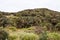 Landscape in Horton Plains National Park, Sri Lanka.