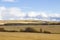 Landscape with huge wheat fields and bright sky