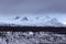 Landscape of icy Mountains Denali in Denali Park snowy trees fog in Alaska