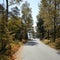 Landscape with idyllic road