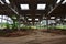 Landscape image of an abandoned industrial hangar with a damaged roof. Photo on wide-angle len