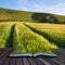 Landscape image of ancient chalk carving in hillside Long Man if