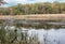 Landscape image of Autumn at Marshy Point Nature Center in Middle River, Maryland. r