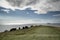 Landscape image of cows grazing on edge of cliff on Summer day