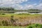 Landscape image of the marsh (with a sky reflection) at Bombay Hook Wildlife Refuge NWR