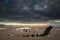 Landscape image of old shipwreck on beach at sunset in Summer