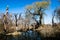 A landscape image of a riverside, South Africa.