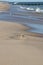 A landscape image of the shore in Rehoboth Beach, Delaware on a sunny afternoon. Seagulls and a jetty are in the background