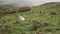 Landscape image of view from Precipice Walk in Snowdonia overlooking Barmouth and Coed-y-Brenin forest during rainy afternoon in