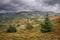 Landscape image of view from Precipice Walk in Snowdonia overlooking Barmouth and Coed-y-Brenin forest during rainy afternoon in