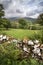 Landscape image of view from Precipice Walk in Snowdonia overlooking Barmouth and Coed-y-Brenin forest during rainy afternoon in