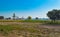 Landscape image of wheat crops and date trees in a village