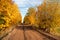 Landscape with impassable autumn road
