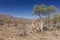 Landscape of iona national park, angola. Africa