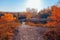 Landscape with iron iron bridge over a deep ravine