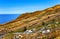 Landscape on Island Fogo, Island of Fire, Cape Verde, Cabo Verde, Africa