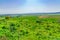 Landscape of Jezreel Valley, from Shekh Abrek hill