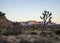 Landscape of Joshua Tree National Park, California