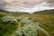 Landscape in Jotunheimen national park