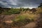 Landscape of Kakadu National Park, Australia