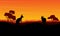 Landscape kangaroo silhouette at the sunset