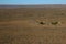Landscape Karoo natural region South Africa
