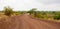 Landscape in Kenya, road through the national park