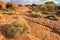 The landscape of Kings canyon in Northern Territory state of outback Australia.