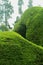 Landscape of the kodaikanal chettiar park with mist.