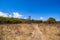 Landscape of Komodo National Park, Rinca, Lesser Sunda Islands, Indonesia