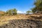 Landscape of Komodo National Park, Rinca, Lesser Sunda Islands, Indonesia