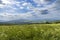 Landscape Kubikuv vrch near JavornÃ­k and Nova Lhota,  White Carpathians, Czech Republic