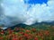 Landscape at Kundasang village, Ranau in Sabah, Malaysia.