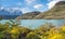 Landscape of Lago del Pehoe in Torres del Paine national park, Patagonia, Chile