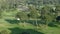 Landscape with lagoon in San Isidro district of Lima