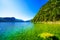 Landscape at Lake Altaussee in the Salzkammergut in Austria. Idyllic nature by the lake