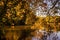 Landscape of a lake with beautiful yellowing plants reflecting on the water in autumn