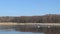 Landscape of Lake in Brandenburg names Wolzensee. Couple of swan swimming around. flock of crane birds on sky.