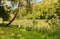 Landscape of Lake of Brinzio in valey Rasa at summertime, province of Varese, Italy