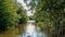 Landscape lake in Epping forest