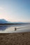 Landscape of a lake with a happy dog or mongrel running. Beautiful sky with clouds during sunset. Sandy beach. Free time. Free tim