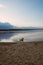 Landscape of a lake with a happy dog or mongrel running. Beautiful sky with clouds during sunset. Sandy beach. Free time. Free tim