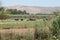 Landscape of Lake Hula Nature Reserve, Israel