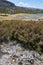 Landscape in lake Lagoa Seca lagoon in Serra da Estrela, Portugal