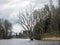 Landscape by the lake, large withered tree silhouette in the water