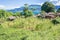 Landscape at the lake Malawi