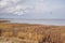 Landscape of a lake with reeds against an overcast horizon by the seaside. Calm marsh on a cloudy day in winter with